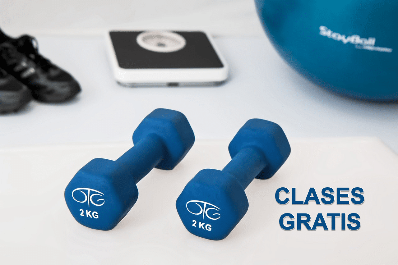 Clases de Gimnasia online gratis